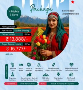 Kashmir Tulip Festival with Kana Holidays